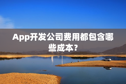 App开发公司费用都包含哪些成本？