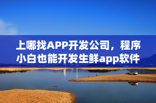 上哪找APP开发公司，程序小白也能开发生鲜app软件