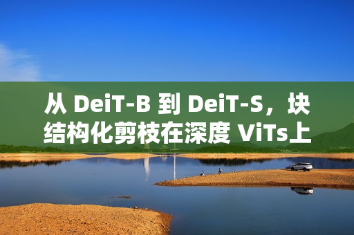 从 DeiT-B 到 DeiT-S，块结构化剪枝在深度 ViTs上 的应用 ！