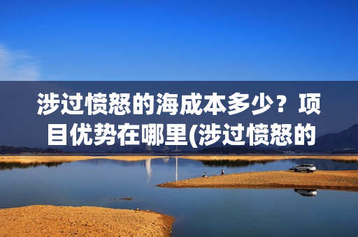 涉过愤怒的海成本多少？项目优势在哪里(涉过愤怒的海没过审)