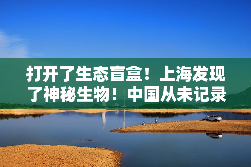 打开了生态盲盒！上海发现了神秘生物！中国从未记录