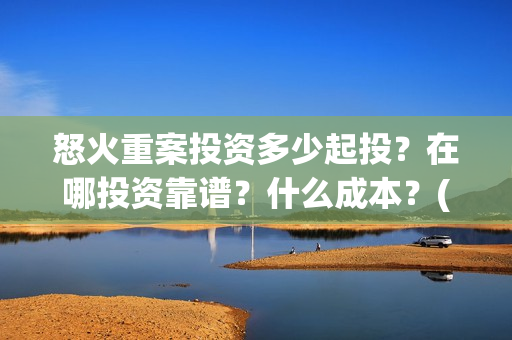 怒火重案投资多少起投？在哪投资靠谱？什么成本？(怒火重案投资金额)