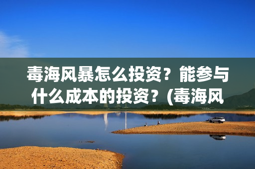 毒海风暴怎么投资？能参与什么成本的投资？(毒海风暴有哪几家拍摄)