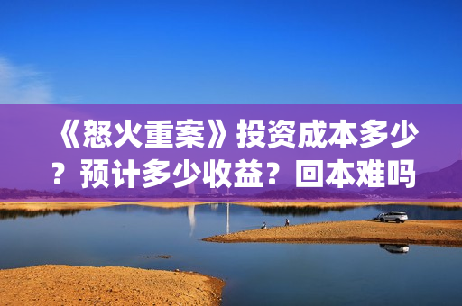 《怒火重案》投资成本多少？预计多少收益？回本难吗？(怒火重案片名)