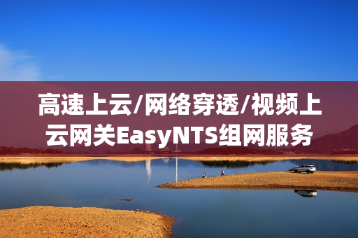 高速上云/网络穿透/视频上云网关EasyNTS组网服务在任务管理器中显示已停止是什么原因？