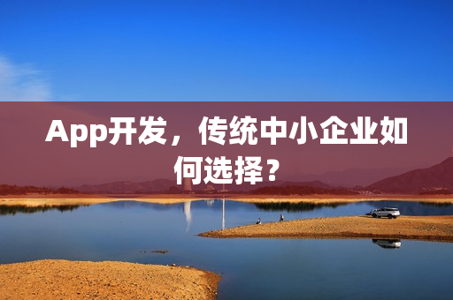 App开发，传统中小企业如何选择？