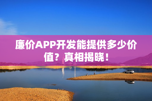 廉价APP开发能提供多少价值？真相揭晓！