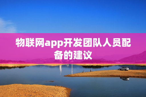 物联网app开发团队人员配备的建议
