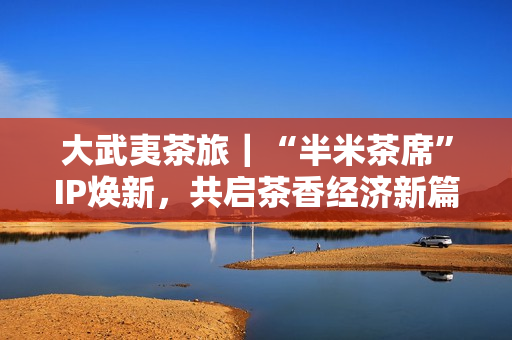 大武夷茶旅｜“半米茶席”IP焕新，共启茶香经济新篇章