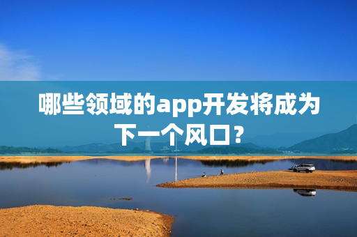 哪些领域的app开发将成为下一个风口？