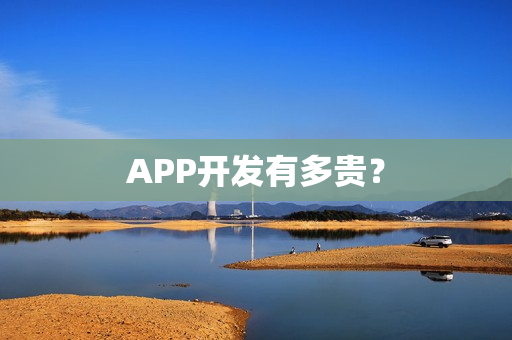 APP开发有多贵？