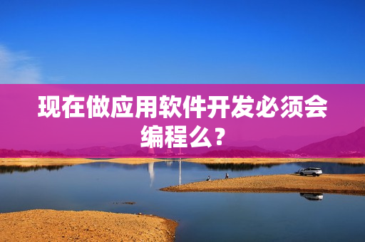 现在做应用软件开发必须会编程么？