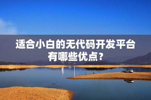 适合小白的无代码开发平台有哪些优点？