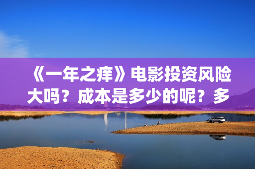 《一年之痒》电影投资风险大吗？成本是多少的呢？多少起投呢？(一年之痒免费播放)