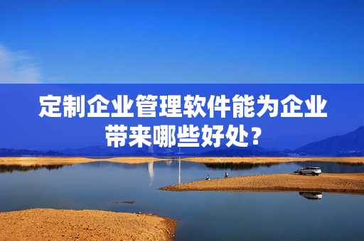 定制企业管理软件能为企业带来哪些好处？