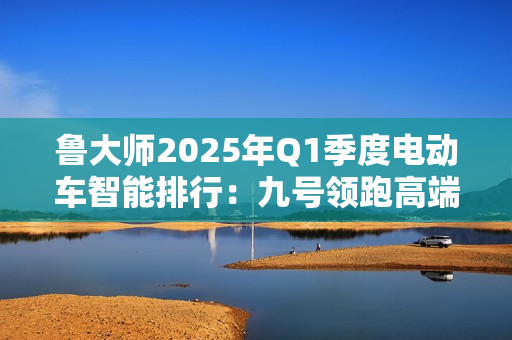 鲁大师2025年Q1季度电动车智能排行：九号领跑高端市场，极核、绿源智能化突围