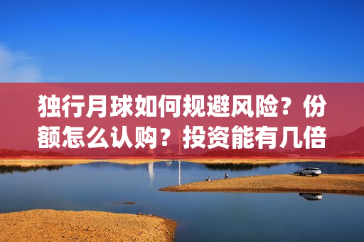 独行月球如何规避风险？份额怎么认购？投资能有几倍的回报率？(《独行月球》)