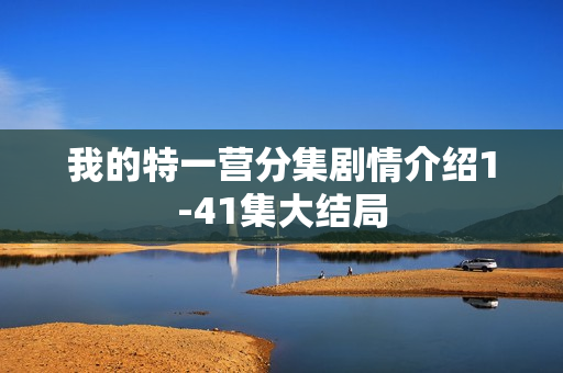 我的特一营分集剧情介绍1-41集大结局