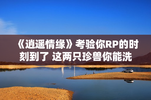 《逍遥情缘》考验你RP的时刻到了 这两只珍兽你能洗出来吗？