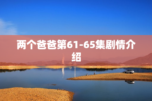 两个爸爸第61-65集剧情介绍