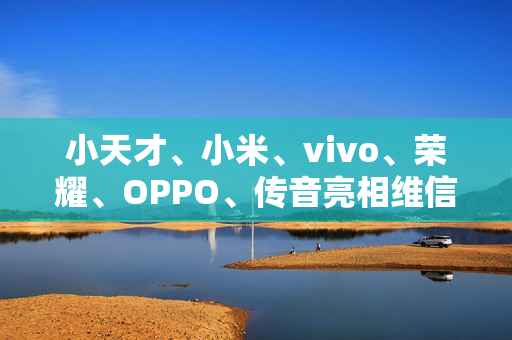 小天才、小米、vivo、荣耀、OPPO、传音亮相维信诺 F1 屏幕发光材料体系发布仪式