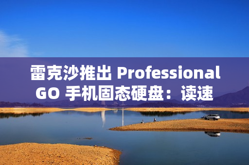 雷克沙推出 Professional GO 手机固态硬盘：读速 1050MB/s，999 元起