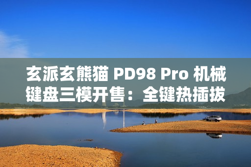 玄派玄熊猫 PD98 Pro 机械键盘三模开售:全键热插拔、Gasket 结构,299 元起 玄派玄熊猫 PD98 Pro 机械键盘三模开售:全键热插拔、Gasket 结构,299 元起