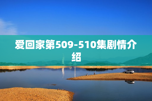 爱回家第509-510集剧情介绍