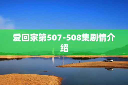 爱回家第507-508集剧情介绍