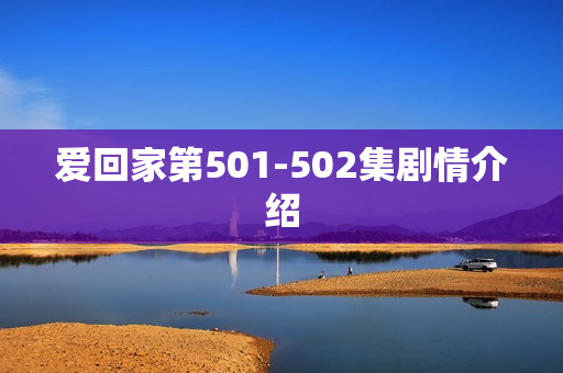 爱回家第501-502集剧情介绍