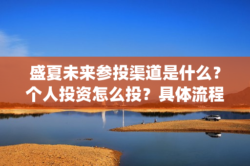 盛夏未来参投渠道是什么？个人投资怎么投？具体流程是什么?(盛夏未来发行公司)