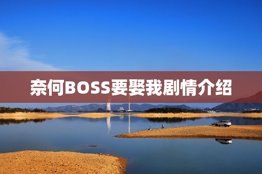 奈何BOSS要娶我剧情介绍