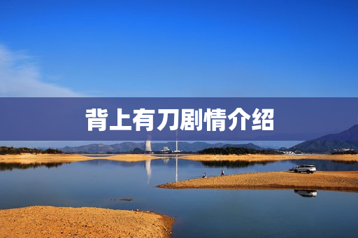 背上有刀剧情介绍