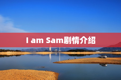 I am Sam剧情介绍