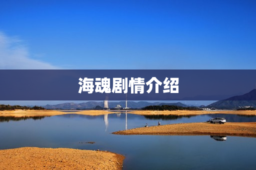 海魂剧情介绍