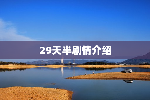 29天半剧情介绍