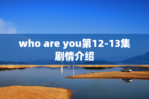 who are you第12-13集剧情介绍