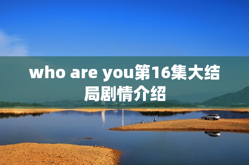 who are you第16集大结局剧情介绍