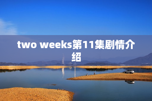 two weeks第11集剧情介绍
