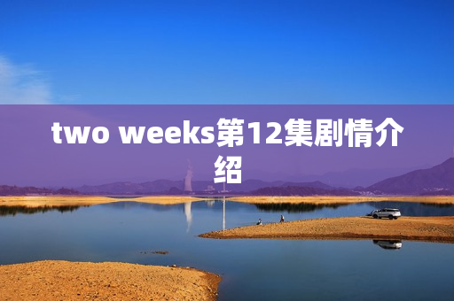 two weeks第12集剧情介绍