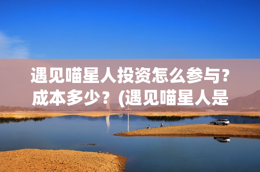 遇见喵星人投资怎么参与？成本多少？(遇见喵星人是哪家公司)