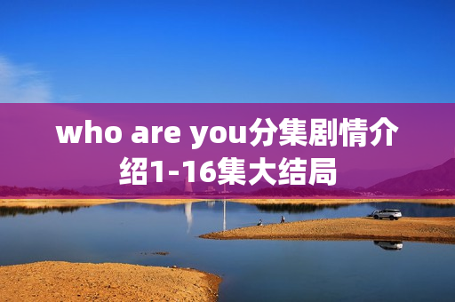 who are you分集剧情介绍1-16集大结局