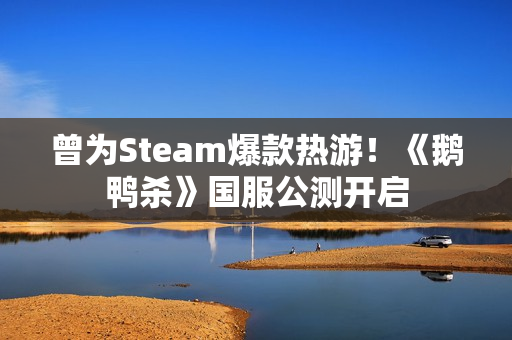 曾为Steam爆款热游！《鹅鸭杀》国服公测开启