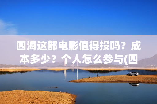 四海这部电影值得投吗？成本多少？个人怎么参与(四海电影出品公司是哪一家)