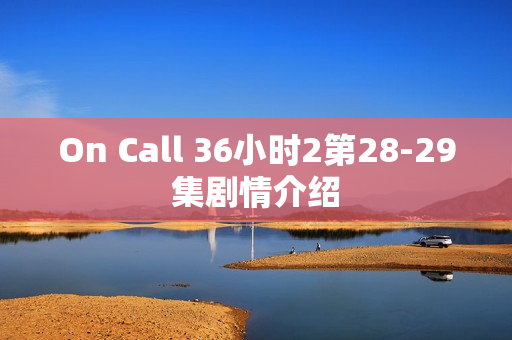 On Call 36小时2第28-29集剧情介绍