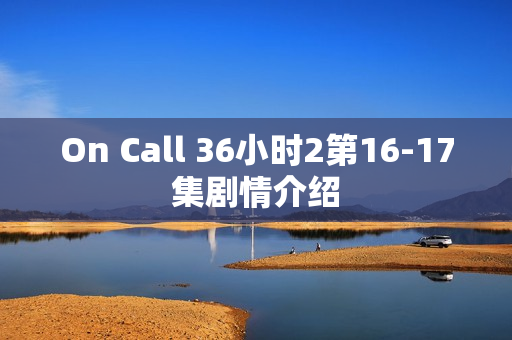 On Call 36小时2第16-17集剧情介绍