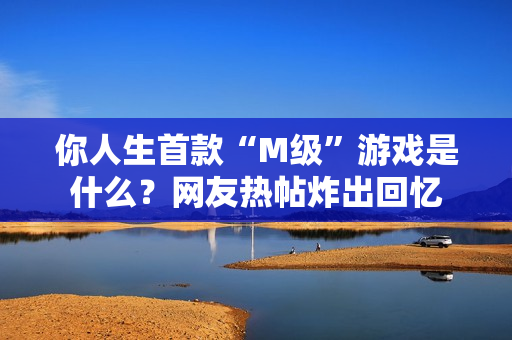 你人生首款“M级”游戏是什么？网友热帖炸出回忆