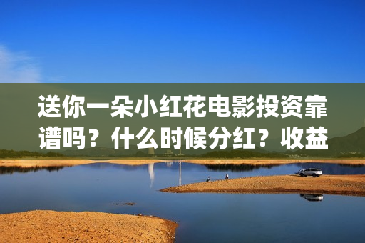 送你一朵小红花电影投资靠谱吗？什么时候分红？收益怎么算(送你一朵小红花简谱)