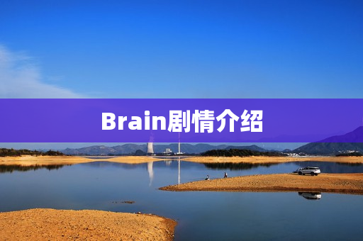 Brain剧情介绍