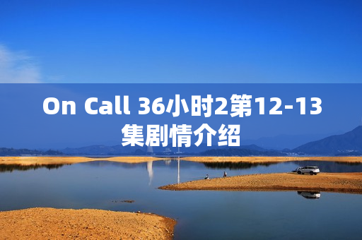 On Call 36小时2第12-13集剧情介绍